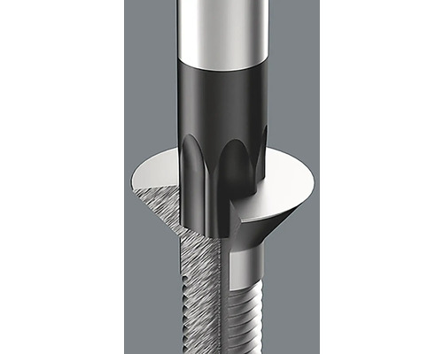 Detailansicht einer Schraube mit Torx-Antrieb und Schraubenkopf