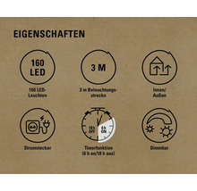 Eigenschaften: 160 LEDs, 3 Meter Zuleitung, für Innen und Außen geeignet, Stromstecker, Timerfunktion, dimmbar