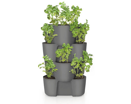 Pflanzsäule mit Kartoffelpflanzen