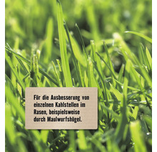 Nachsaatrasen FloraSelf Rasensamen 240 g für 10 m²
