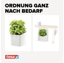 Pflanze in einem Topf zur Aufbewahrung an der Wand