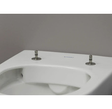 Detailansicht einer Toilette mit Toilettendeckel-Befestigung