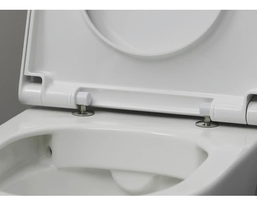 Detailansicht einer weißen Toilette mit offenem Toilettendeckel.