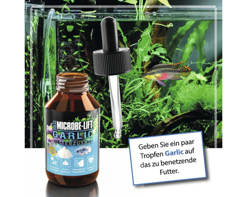 Microbe Lift Garlic Futterzusatz mit Pipette vor Aquarium