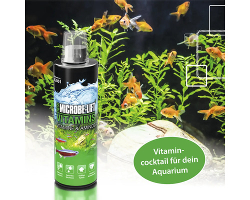 Microbe Lift Vitamins für Aquarien mit Fischen und Pflanzen