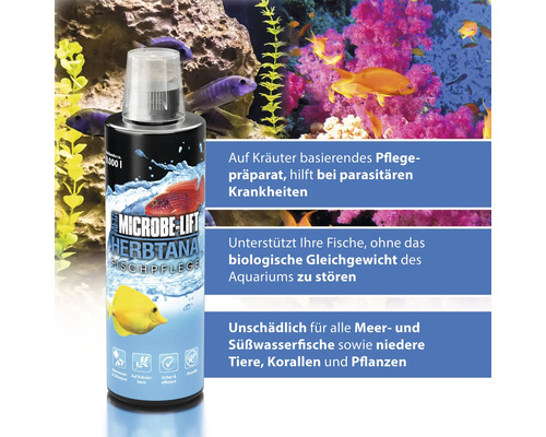 Microbe Lift Herbtana Fischpflege Produkt vor Aquarienhintergrund