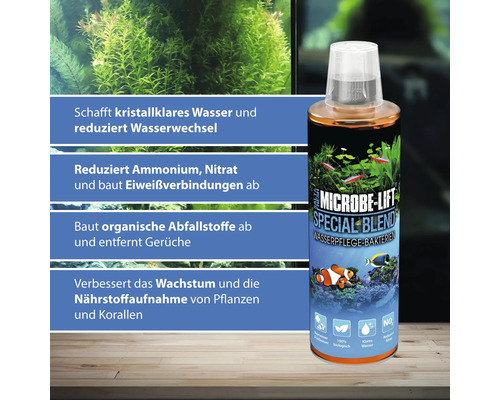 Microbe Lift Special Blend Wasserpflege Bakterien zur Reduzierung von Ammonium und Nitrat