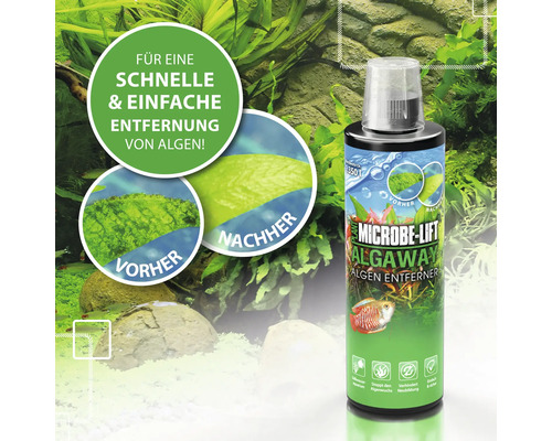 Microbe Lift Algaway Algenentferner zur schnellen und einfachen Algenentfernung im Aquarium