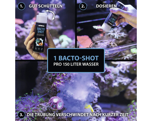 Anwendung von Arka Bacto Shot für Aquarien: Schütteln, Dosieren, Trübung verschwindet