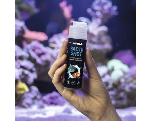 Arka Bactos Shot Flasche mit hochaktiven Impfkulturen in der Hand vor einem Aquarium