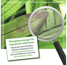 Aquariumpflanzendünger MICROBE-LIFT Plants NPK Volldünger 473 ml mit Nitrat, Phoshat und Kalium