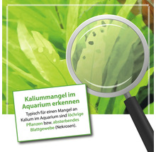 Aquariumpflanzendünger MICROBE-LIFT Plants NPK Volldünger 473 ml mit Nitrat, Phoshat und Kalium
