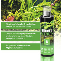 Aquariumpflanzendünger MICROBE-LIFT Plants K Kaliumdünger Nitrat- und Phoshatfrei 118 ml