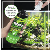 Microbe Lift Plants K Kaliumdünger zur Erhöhung des Kaliumgehalts im Aquarium