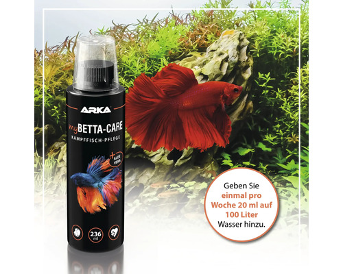 Arka MyBetta-Care Kampfisch-Pflege mit Aloe Vera, 236 ml Flasche vor Aquarium mit Kampffisch