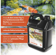 Microbe Lift Nite Out II Bakterien für Teiche vor Teichhintergrund mit Fischen