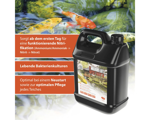 Microbe Lift Nite Out II Bakterien für Teiche vor Teichhintergrund mit Fischen