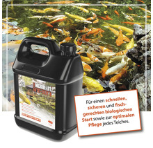 Microbe Lift Nite Out II Teichpflege vor einem Teich mit Kois