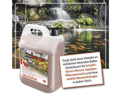 Microbe Lift Special Blend Wasserpflege Bakterien Kanister vor Teichkulisse
