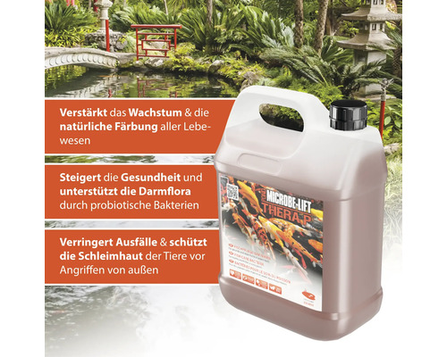Microbe Lift Thera P Teichpflegebakterien Kanister vor Teichhintergrund