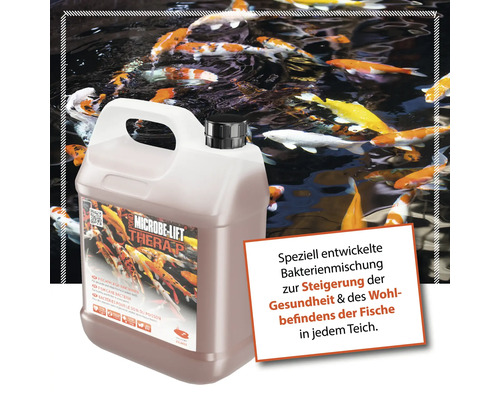 Microbe Lift Therap P Fischpflege Bakterien für gesunde Fische in jedem Teich