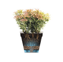 Blumentopf Elho Kunststoff 28,5 x 28,5 x 26 cm lila