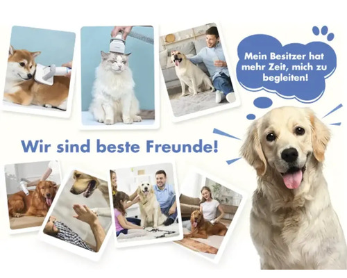 Collage mit Fotos von Hunden und Katzen, die gebürstet werden, mit Text ''Wir sind beste Freunde!''