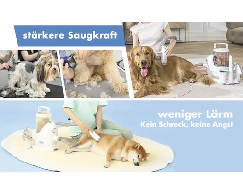 Bild einer Hundepflegestation mit Staubsaugerfunktion zur Fellpflege verschiedener Hunde