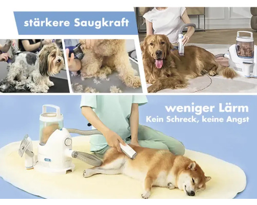Hundepflege mit Staubsauger für stärkere Saugkraft und weniger Lärm