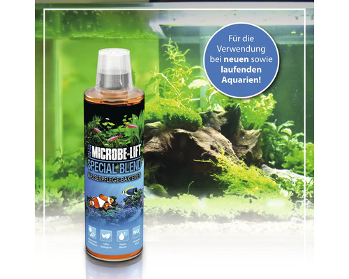 Microbe Lift Special Blend Wasserpflege Bakterien Produkt für Aquarien