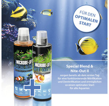 Microbe Lift Special Blend und Nite Out II für Aquarien