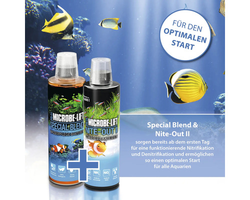 Microbe Lift Special Blend und Nite Out II für Aquarien