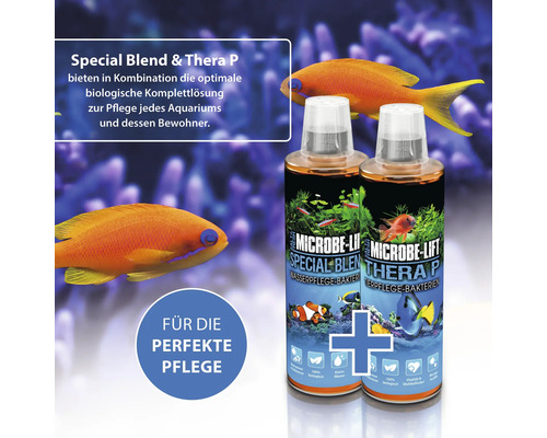 Microbe Lift Special Blend und Thera P Aquariumwasserpflege-Bakterien