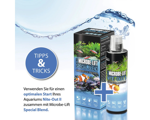 Microbe-Lift Special Blend und Nite-Out II Wasserpflege Bakterien für Aquarien