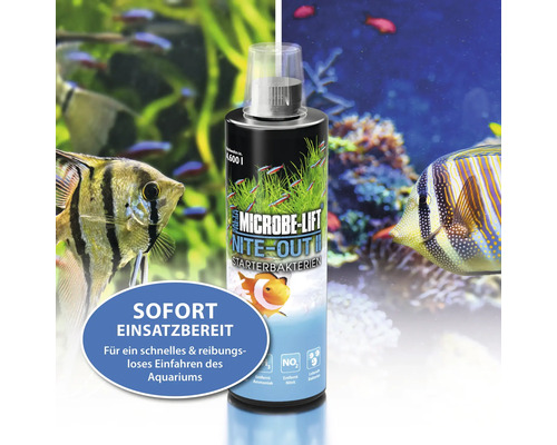 Microbe Lift Nite Out II Starterbakterien für Aquarien