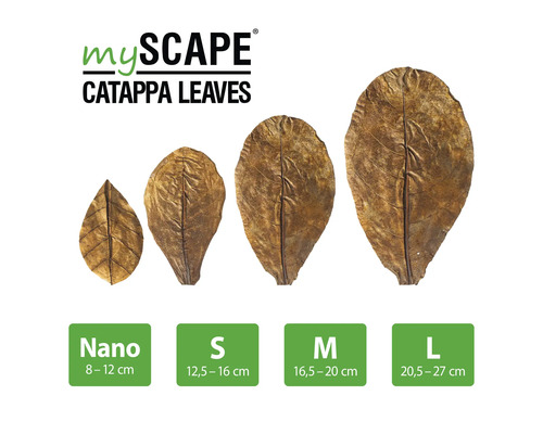 MyScape Catappa Blätter in den Größen Nano, S, M und L