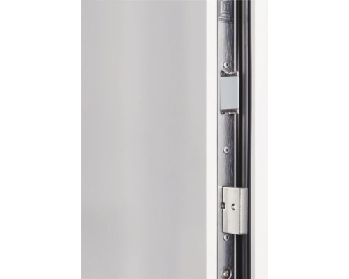 Detailansicht einer Tür mit Türschloss und Beschlägen.