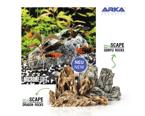 Aquariumdekoration mit Wasserpflanzen, Fischen und verschiedenen Gesteinsarten