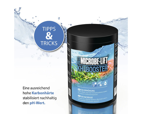 Microbe Lift KH Booster zur Erhöhung der Karbonathärte in Meer- und Süßwasseraquarien