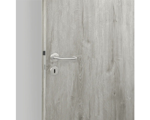 Holztür mit Schloss und Türgriff