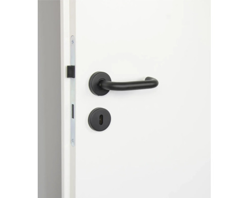 Türbeschlag mit schwarzer Türklinke und Schlossrosette an einer weißen Tür