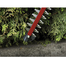 Heckenschere schneidet eine Hecke