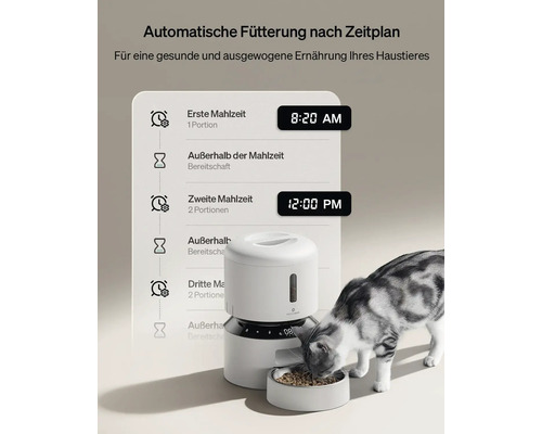 Automatischer Futterautomat mit Zeitplan und Katze beim Fressen