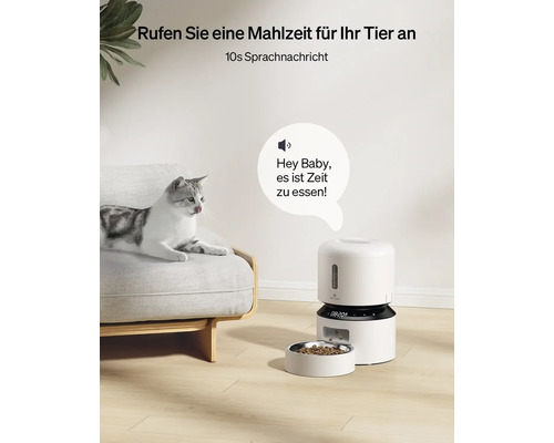 Szene mit einem automatischen Futterspender für Haustiere und einer Katze