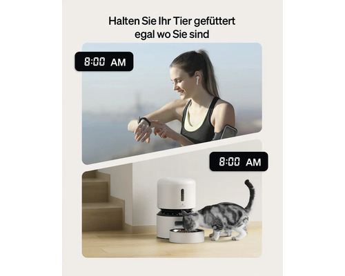 Automatische Futtermaschine für Haustiere mit einer Frau, die ihren Fortschritt auf einer Smartwatch verfolgt, während eine Katze frisst.