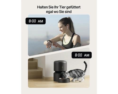 Automatische Futterstation mit Katze und Frau beim Joggen