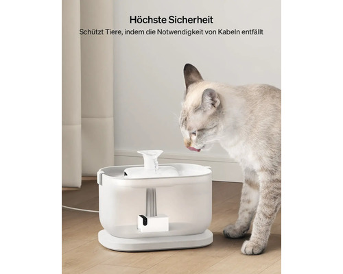 Katze trinkt aus einem kabellosen Trinkbrunnen für Haustiere