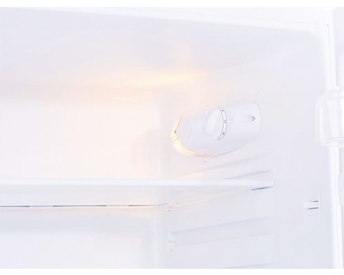 Innenansicht eines Kühlschranks mit Temperaturregler und Regalboden