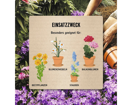 Informationstafel mit Illustrationen verschiedener Pflanzenarten wie Beetpflanzen, Blumenzwiebeln, Stauden und Balkonblumen in Töpfen.