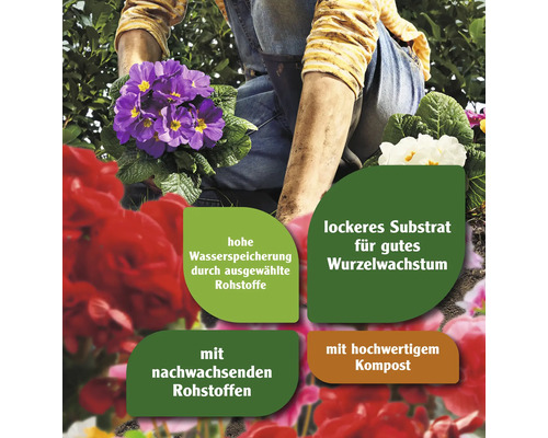 Gärtner mit Primelblumen und Hinweise zu Wasserspeicherung, Substrat, nachwachsenden Rohstoffen und Kompost